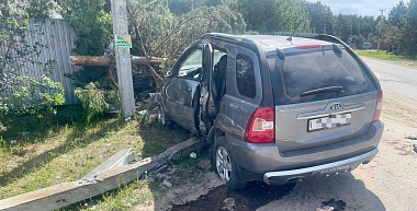Под Рязанью водитель и пассажир Kia Sportage пострадали в ДТП со столбом