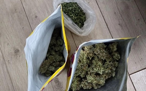 В Сасове 29-летнего мужчину задержали за выращивание наркотиков