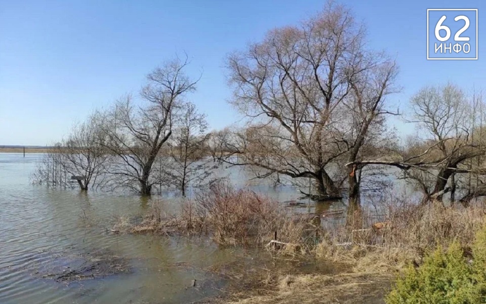 Январское половодье: в Оке под Рязанью поднимается вода - 62ИНФО