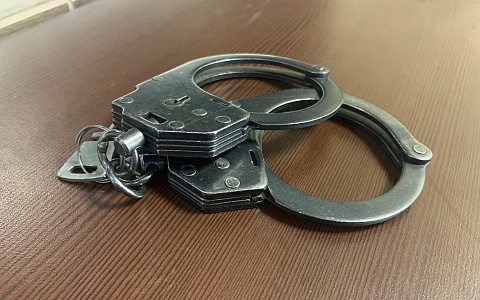 Полицейские задержали 21-летнюю жительницу Подмосковья за кражу денег и золота в Рязани
