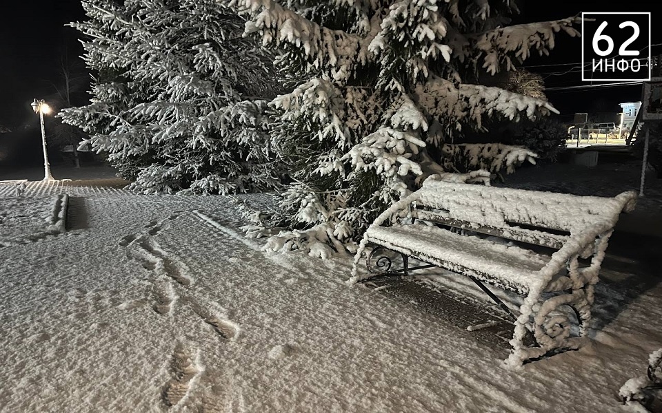 Циклон "Вивиана" продолжит погребать Рязанскую область под снегом - 62ИНФО