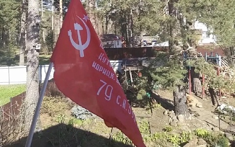 Фейк: в Рязанской области опровергли запрет на использование флагов 9 Мая