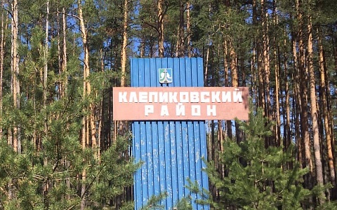 Три деревни оставят без света ради опиливания деревьев в Клепиковском районе