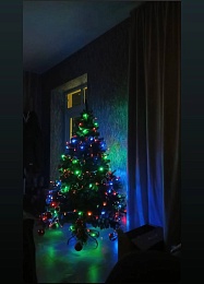 Рязанцы показали фотографии домашних ёлок