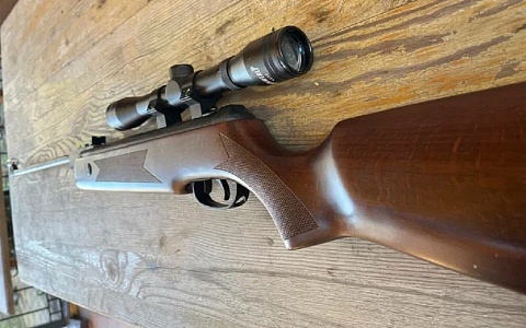 12 рязанцев добровольно сдали оружие в этом году