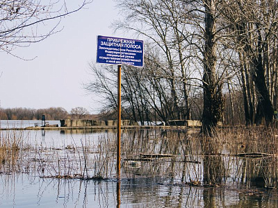 В Рязанской области высвободились несколько участков из-под воды